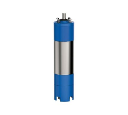 Motor Sumergible Panelli Modelo P 10250/4 –  250.0 hp 460V 3F